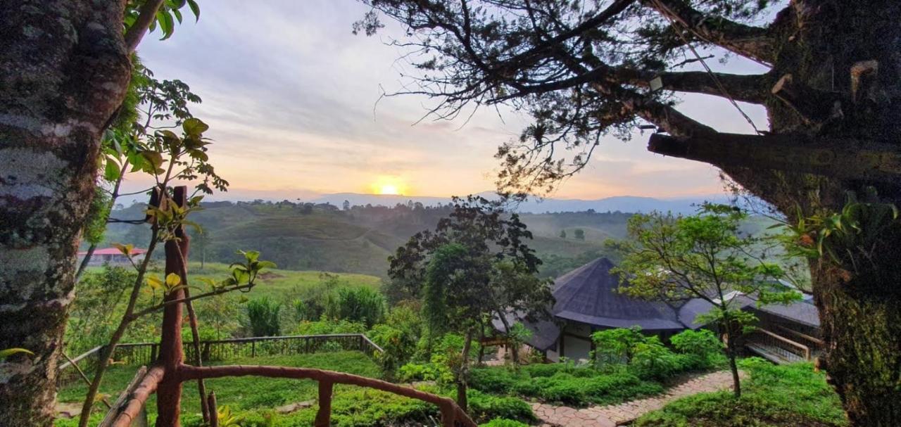 Hostal Sueno Paraiso- Observatorio Astronomico Popayan Exteriör bild