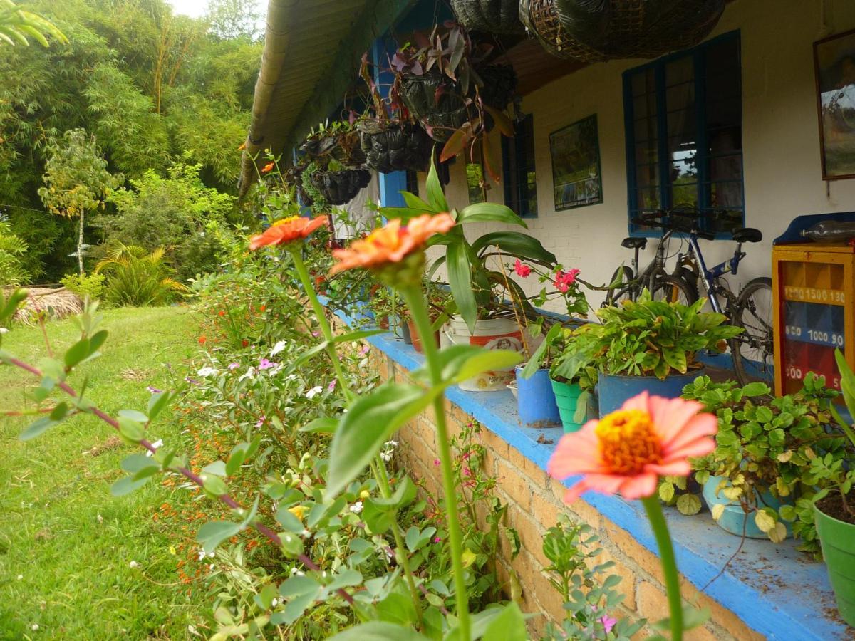 Hostal Sueno Paraiso- Observatorio Astronomico Popayan Exteriör bild